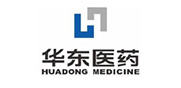 杭州华东医药集团有限公司
